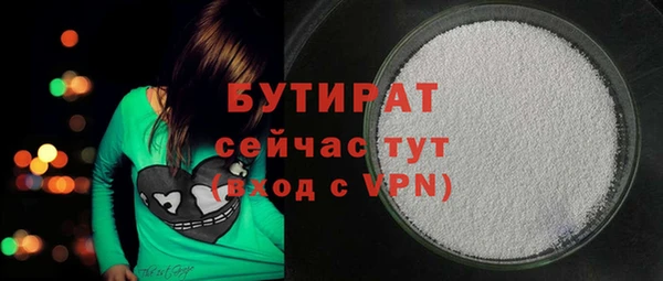 твердый Бородино