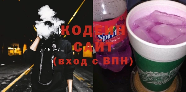 твердый Бородино