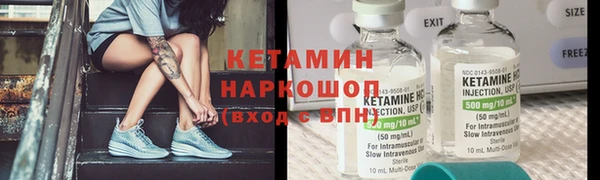 твердый Бородино