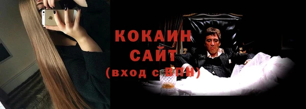 твердый Бородино