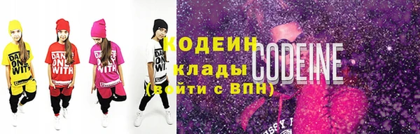 твердый Бородино