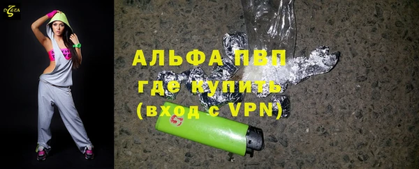 твердый Бородино