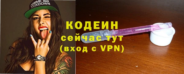 твердый Бородино