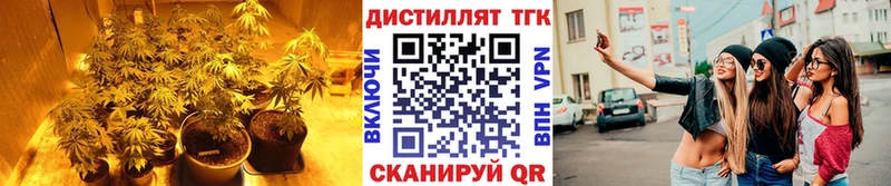 Дистиллят ТГК THC oil  Купить где  Давлеканово 