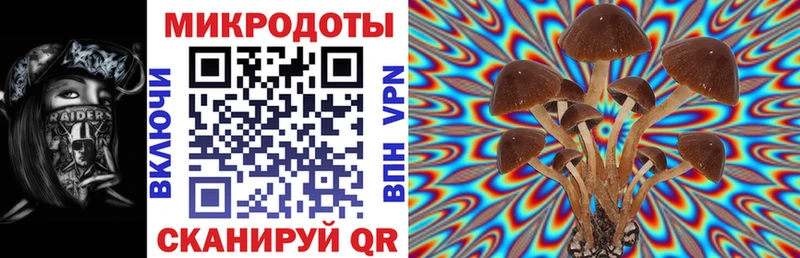 Галлюциногенные грибы мицелий  Купить где  Давлеканово 